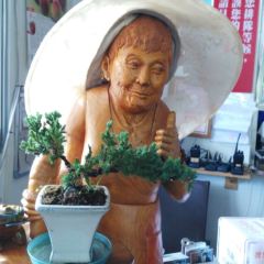 滿妹豬腳 User Photo