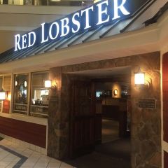 Red Lobster User Photo