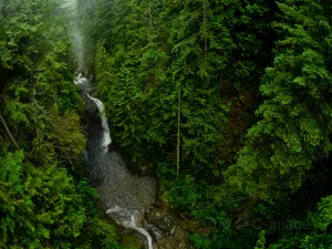 Lynn Canyon Park