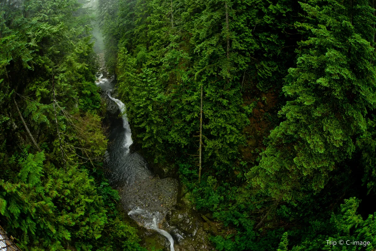3_Lynn Canyon Park