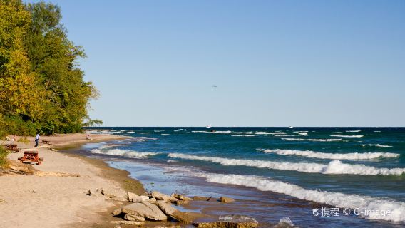 ทัวร์วันเดียว/ทัวร์หลายวัน สัตว์น้ำริปลีย์ - บริการภาษาอังกฤษและภาษาจีน