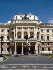 Словацкий Национальный музей