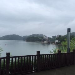 淳安酒家1986·千島湖地標美食張用戶圖片