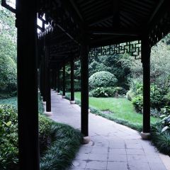 JIN SHA User Photo