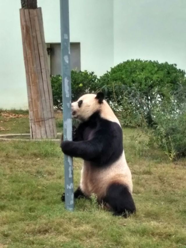 Qingdao Zoo