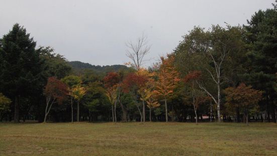 很有韓國特色 景色很美 秋天來比較合適 還去了三八線 距離首