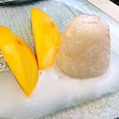 Mango Tree User Photo