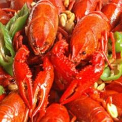 APANG CRAYFISH User Photo