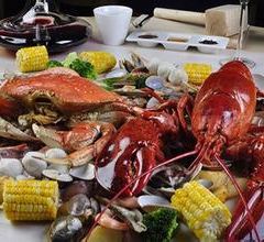 Four Seasons Hotel - Al Halabi User Photo