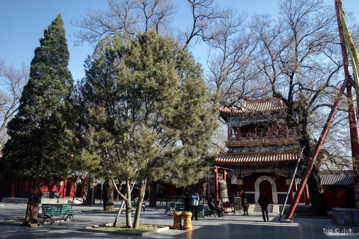 雍和宮周辺のおすすめグルメ