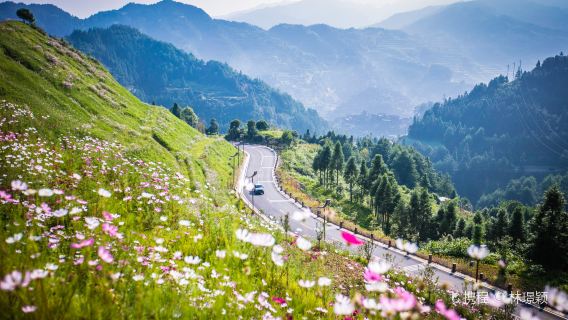 Xijiang Qianhu Miao Village - Rural Sightseeing Area