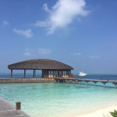 Matheefaru Restaurant 여행 사진