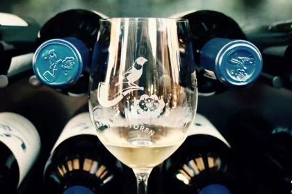 Babel at Babylonstoren