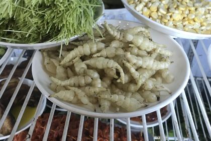 麻小佐饭店