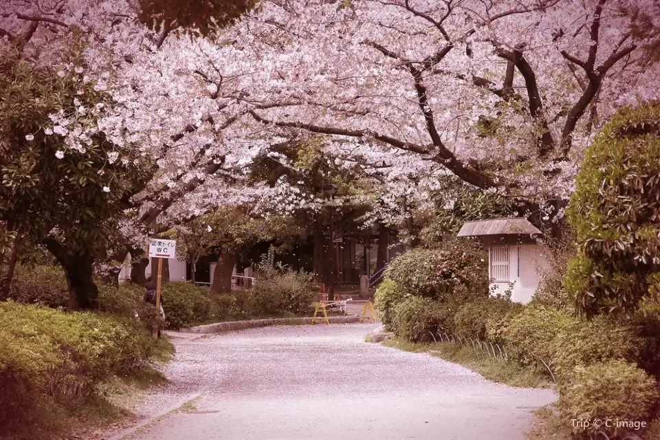 3_Sumida Park