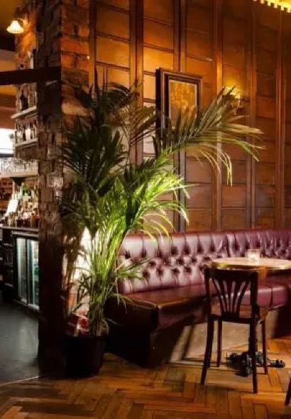 Basil Nut Cafe & Restaurant Katoomba