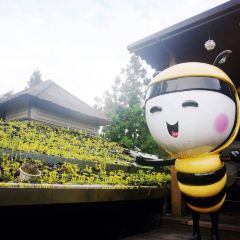 Zhixiangwangchuangyiyuanqu-qingjingxiaoruishidian User Photo