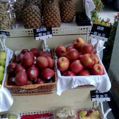 Lily Fruit User Photo