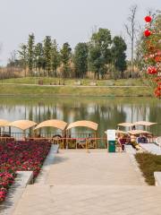 Luoshui Wetland Park