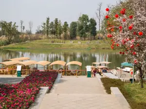 Luoshui Wetland Park