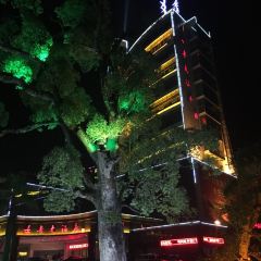 瑶山油茶 ảnh của người dùng