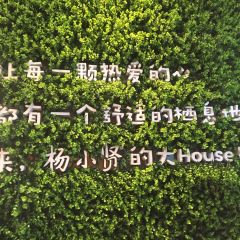Yang Xiao Xian ( Zhongshan Road Dian) User Photo