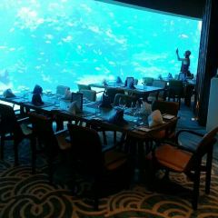 Aqua - Aquarium Restaurant User Photo