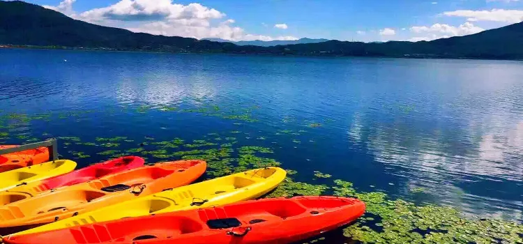 拉市海茶馬古道烤魚