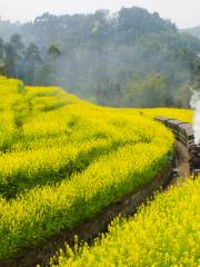 Jiayang Little Steam Train