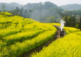 Jiayang Little Steam Train