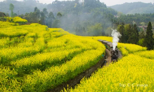 Jiayang Narrow-Gauge Train