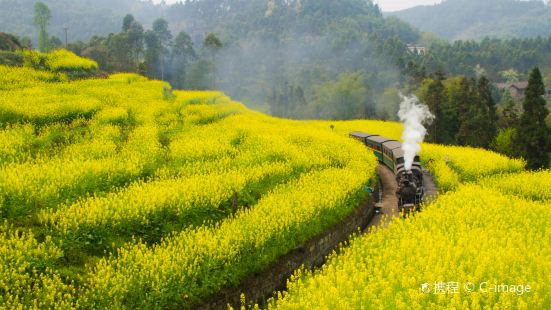 Jiayang Little Steam Train