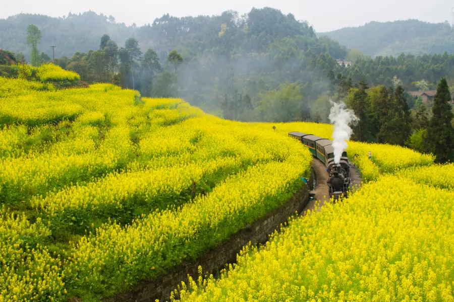 Jiayang Little Steam Train