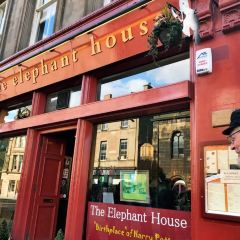 The Elephant House User Photo