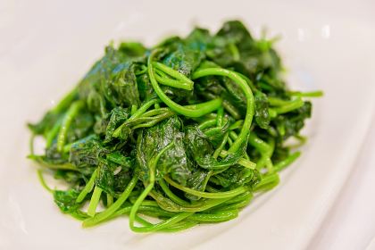 Star Of Canton Restaurant