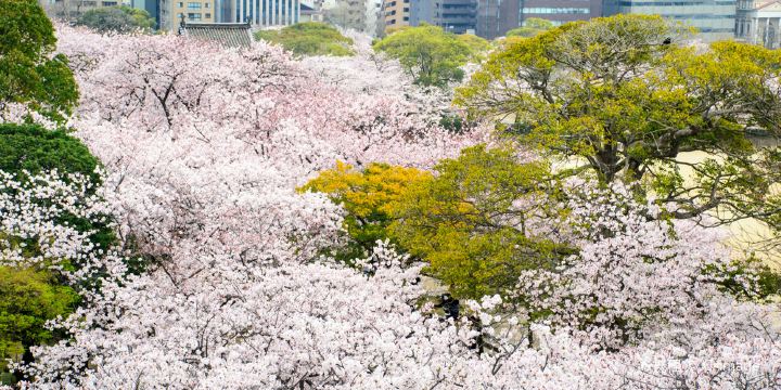 舞鶴公園