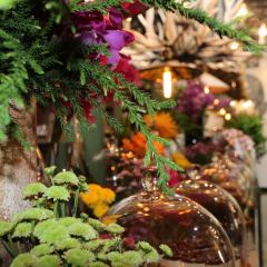 Woo Cafe-Art Gallery-Lifestyle Shop User Photo