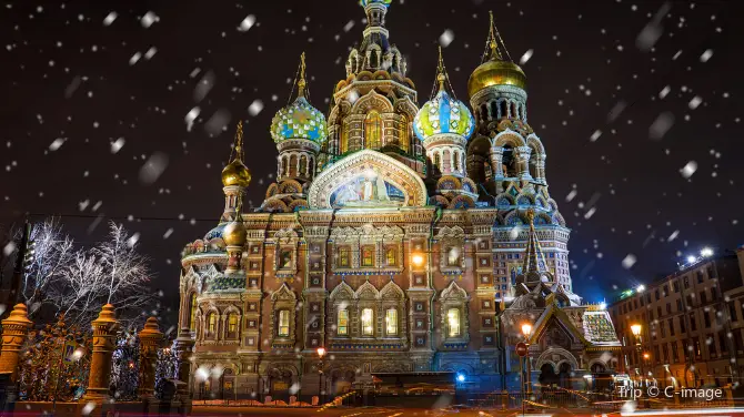 5_Savior on the Spilled Blood