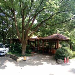 漳河渔村(文卫一路店) User Photo