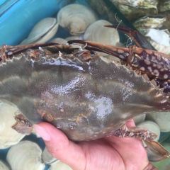 And the sea User Photo