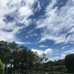 大傻徽菜园·中国徽菜大师(老街店) User Photo