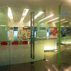 Lemon Garden 2Go User Photo