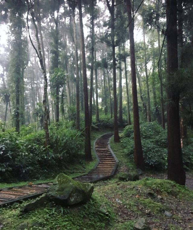 대학연못
