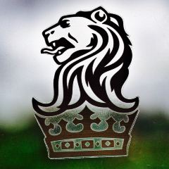 海口丽思卡尔顿酒店·大堂吧 User Photo