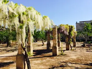 Masseria limbitello