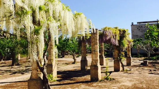 Masseria limbitello