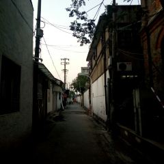 Luming·nongxiaoshitang User Photo