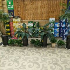 苗淳竹荪鹅 User Photo