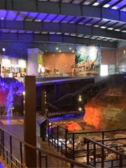 Ruyang Geopark of Dinosaur Fossil Group