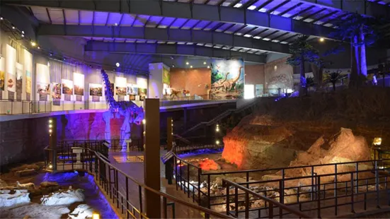 汝陽恐龍化石群國家地質公園